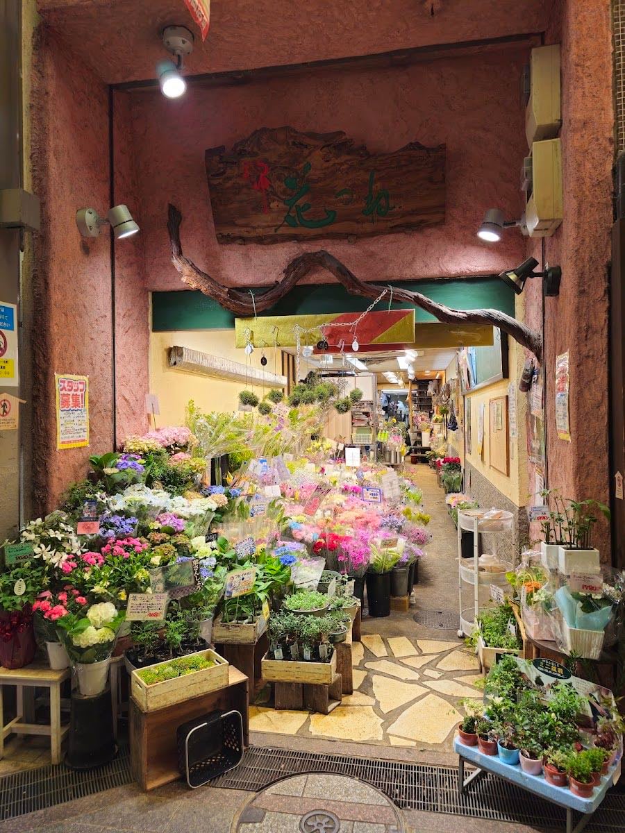 Nishiki Market