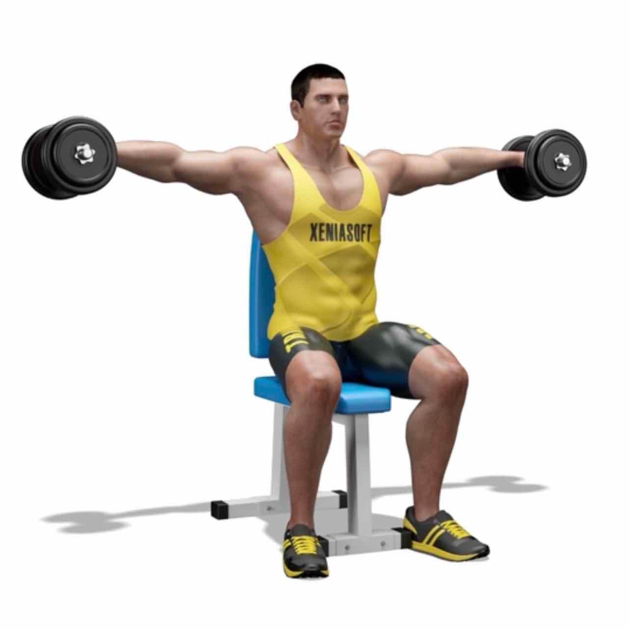 Seated dumbbells lateral raises - Lateral & front deltoids, upper trapezius & rotator cuffs