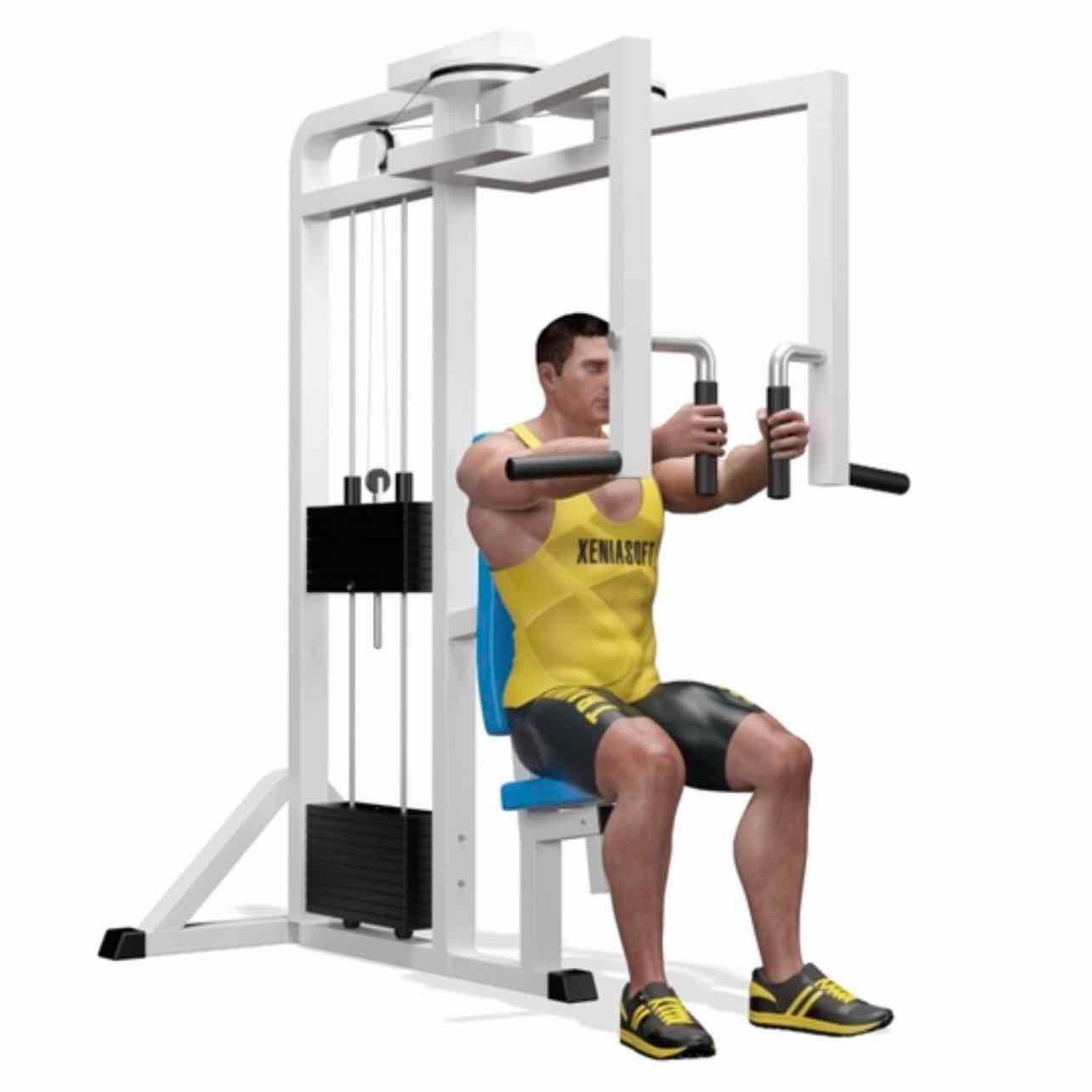 Pectoral fly - Isolation exercise: pectoralis major, pectoralis minor, deltoids, triceps, and biceps