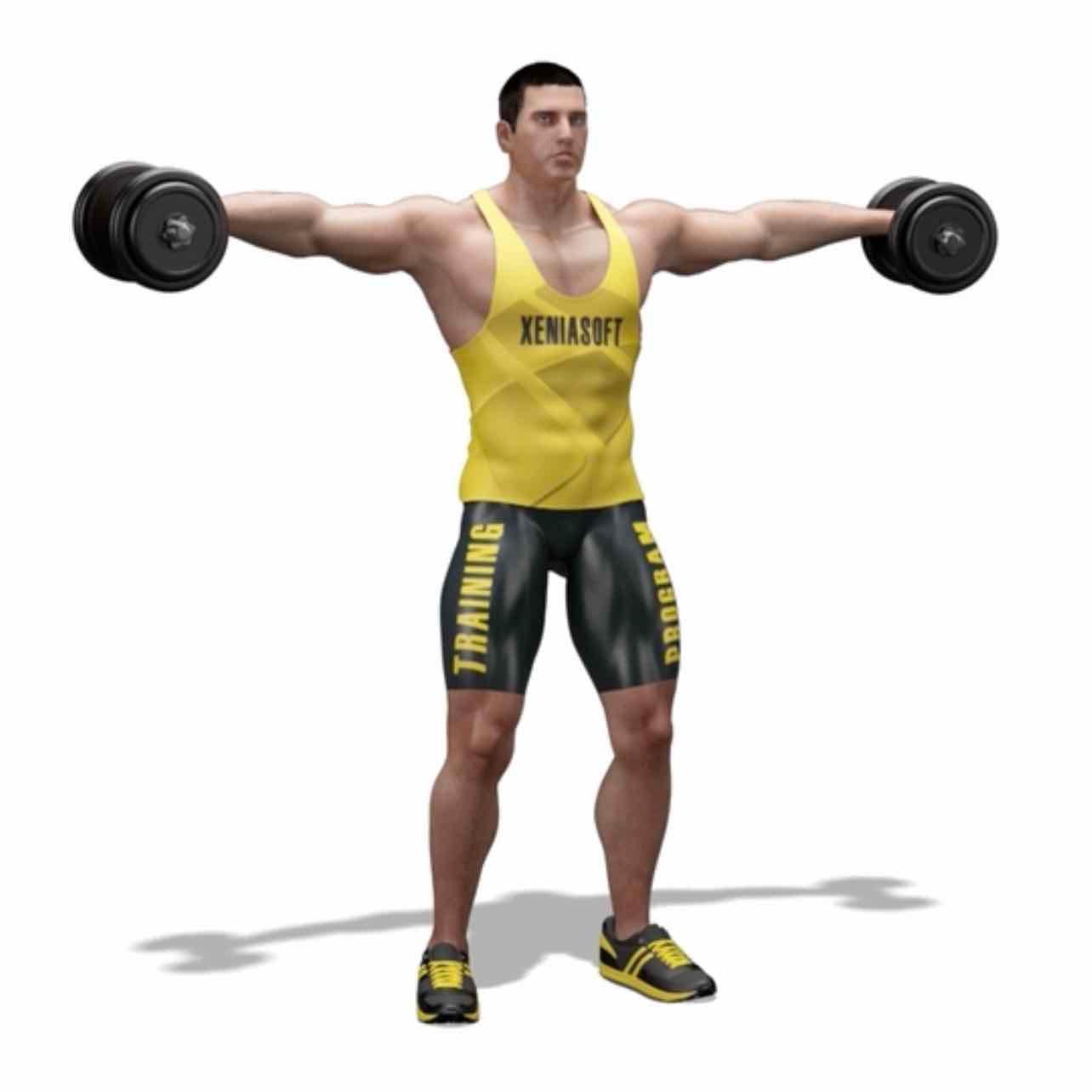 Standing dumbbell lateral shoulder raises - Lateral & front deltoids, upper trapezius & rotator cuffs. Core & spinal column are engaged as well.