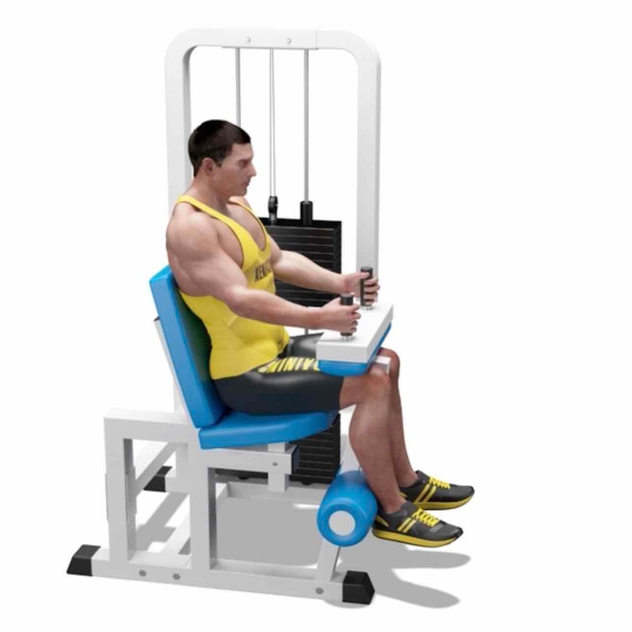 Seated Leg Curl - Isolation exercise with a complete focus on the hamstrings