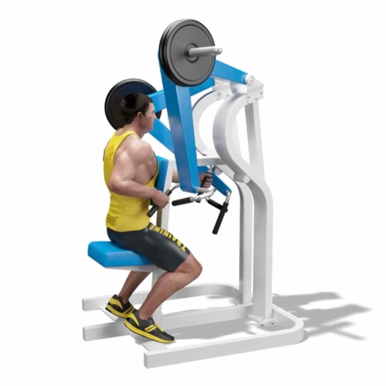 Single low row - Lats, trapezius, rhomboids, rear deltoids, core and biceps