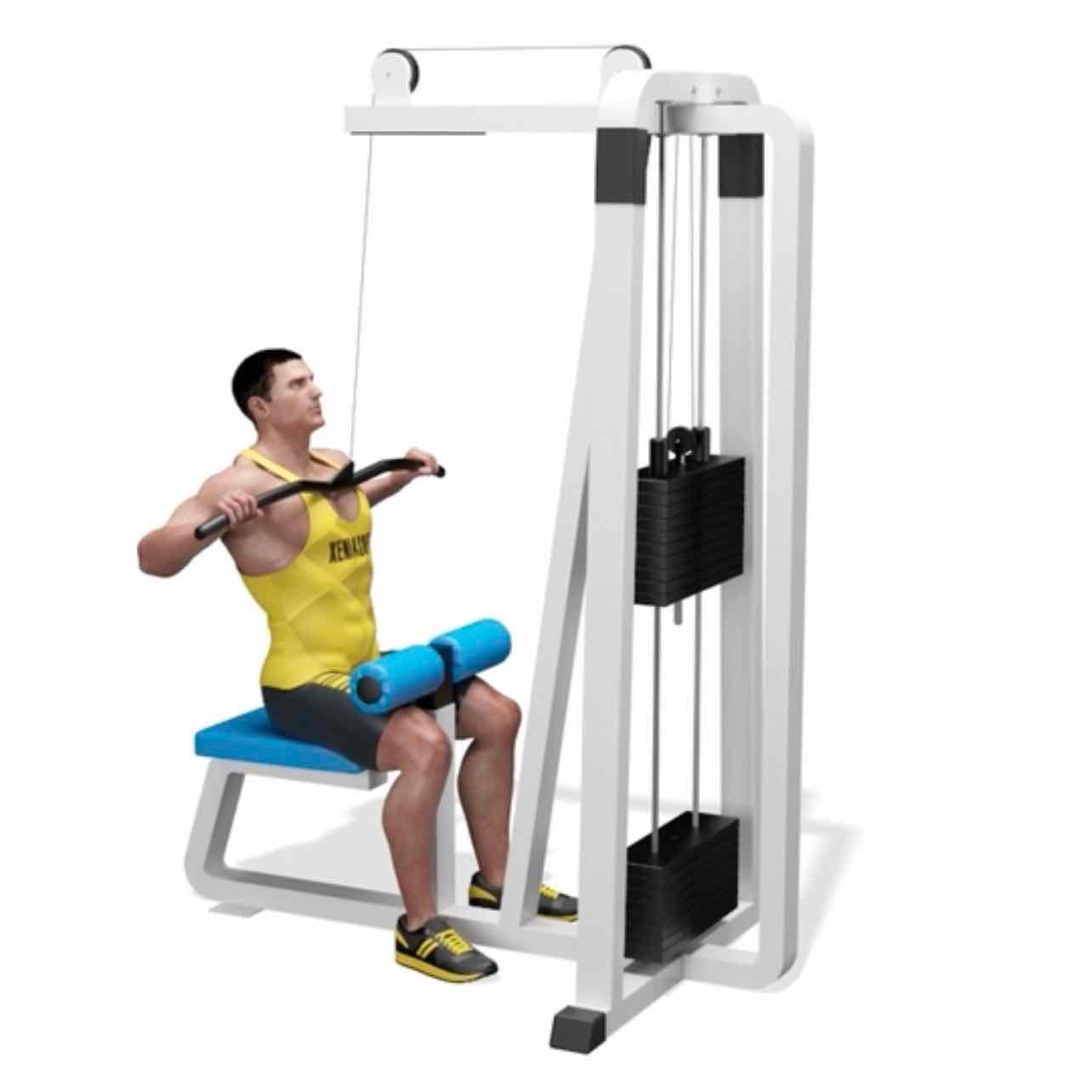Lat pulldown - Latissimus dorsi, pectoralis major, rotator cuff, and biceps brachii
