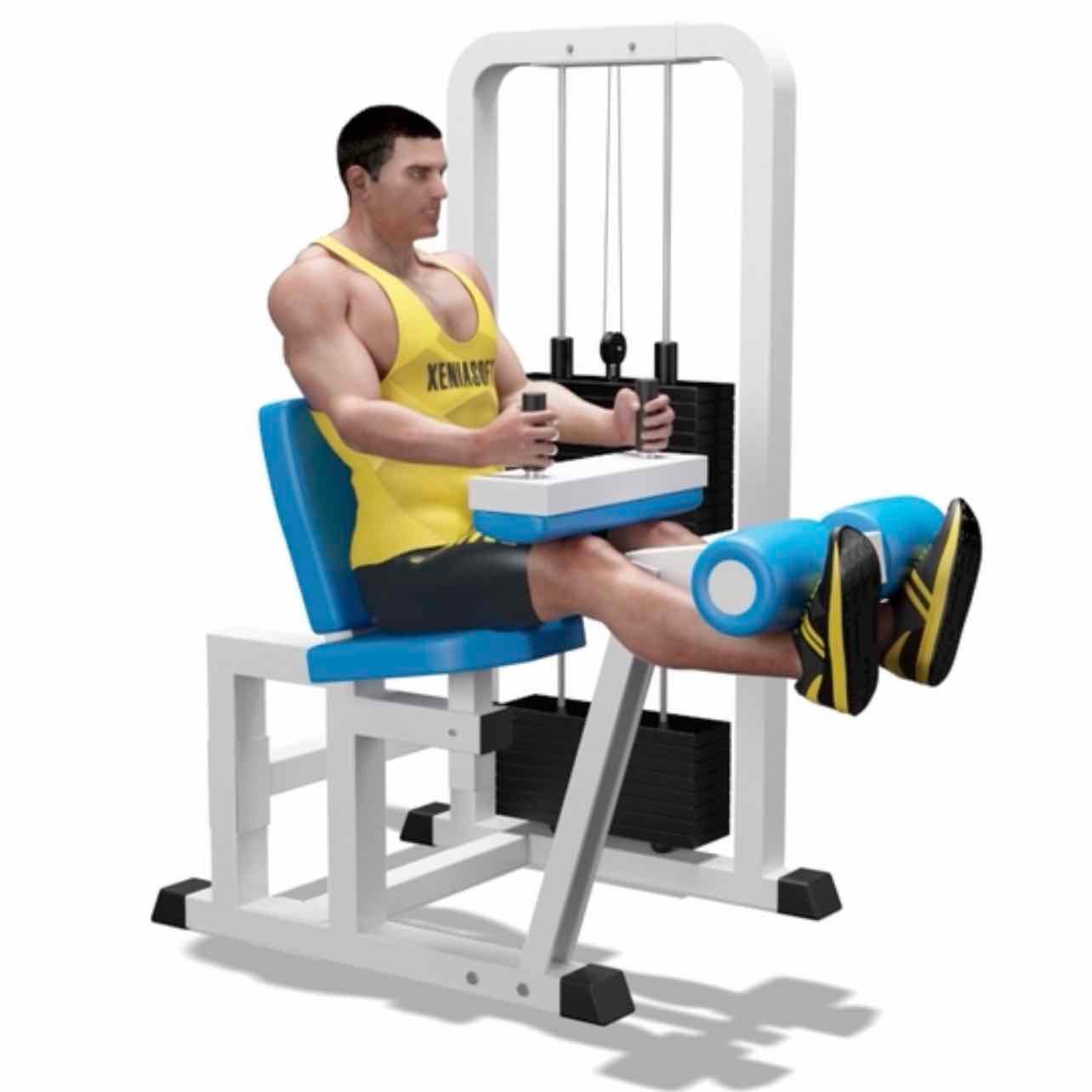 Leg extensions - Isolation exercise with a complete focus on the quads