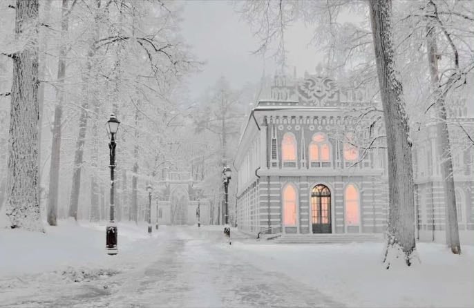 Snow wonderland