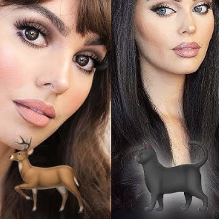 What animal are you feeling like today? - 🐰🦊Makeup inspo🦌🐈⬛