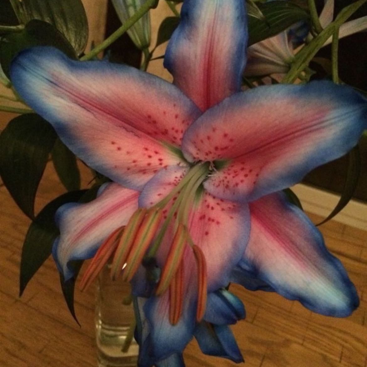 bouquet