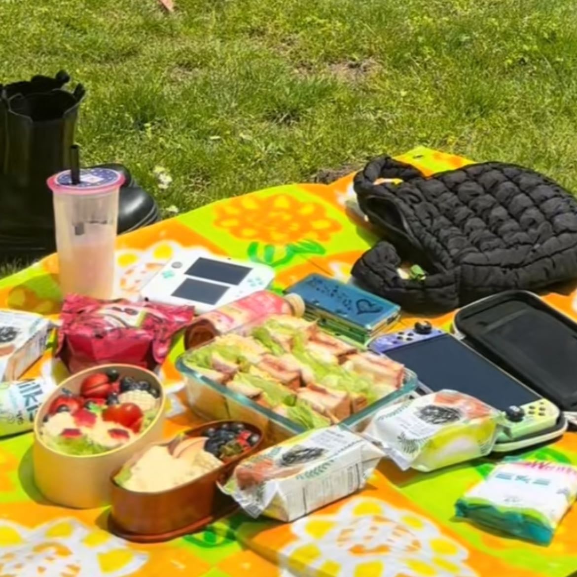 picnic + ds