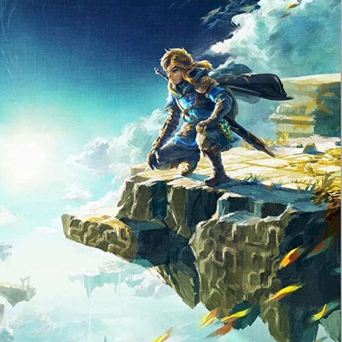 zelda bot + tok