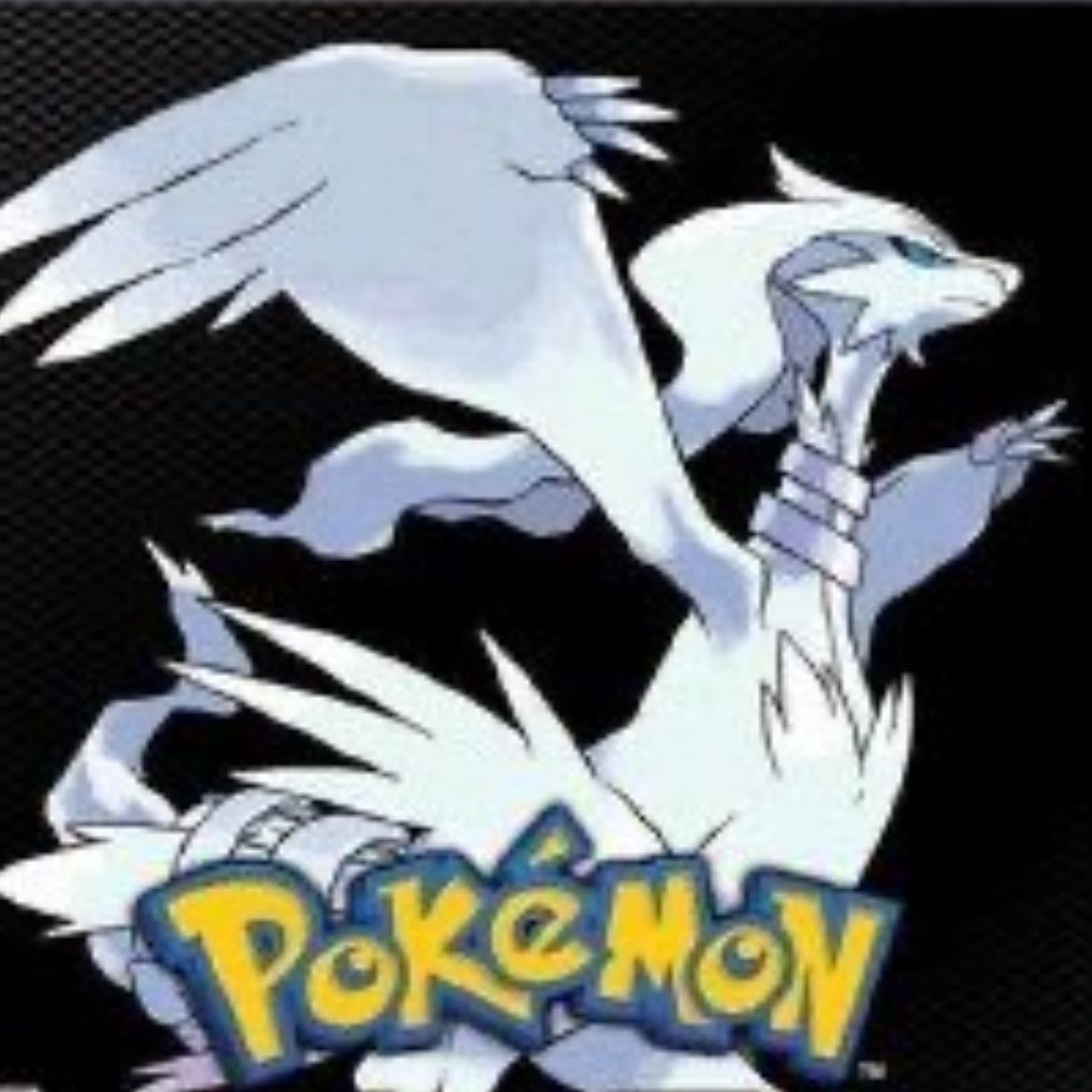 pokémon black