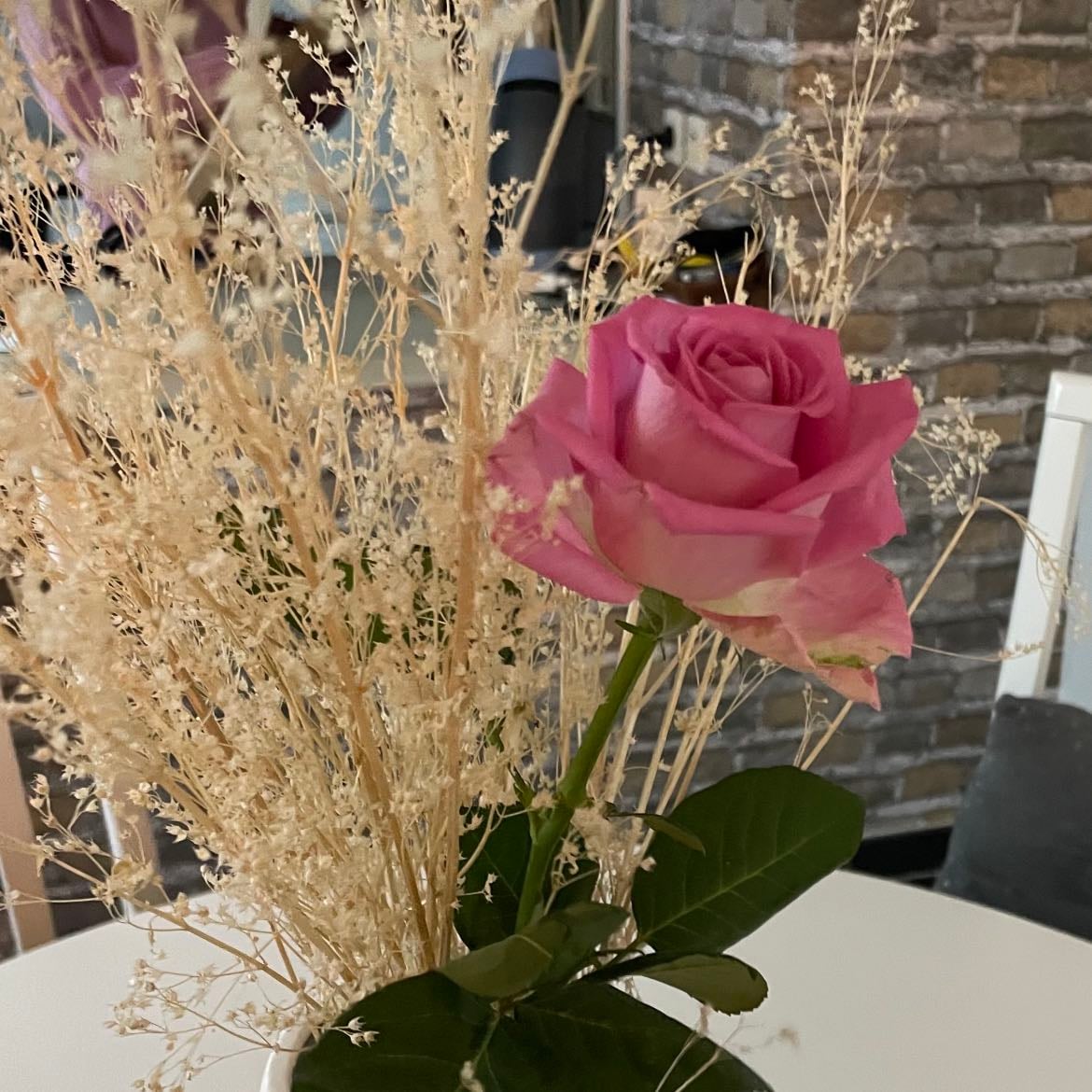 a rose