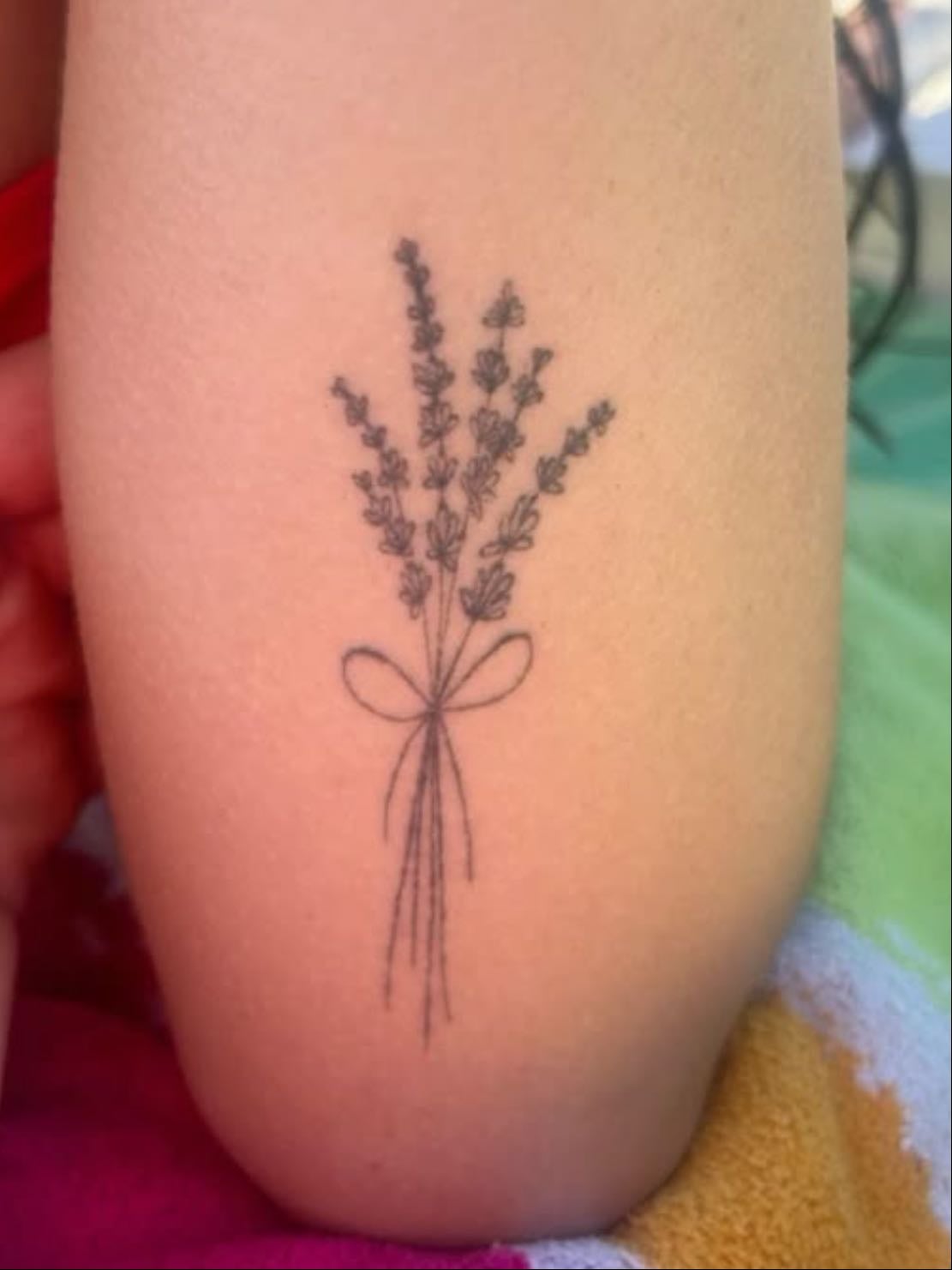 lavender - because i love being gay