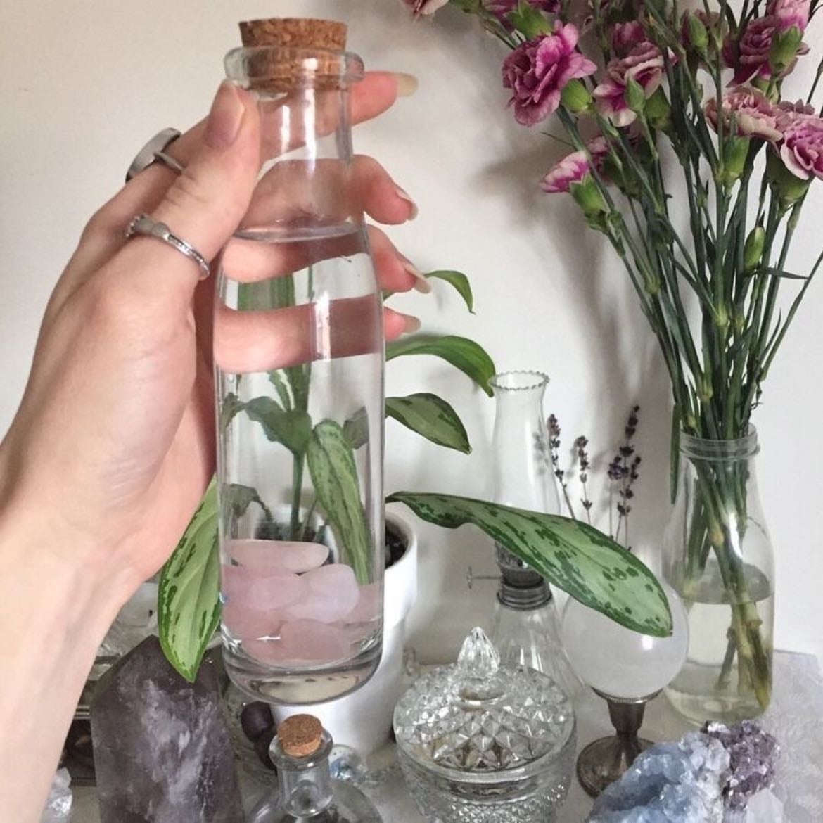 tener muchas plantas - maybe learning to take care of them…