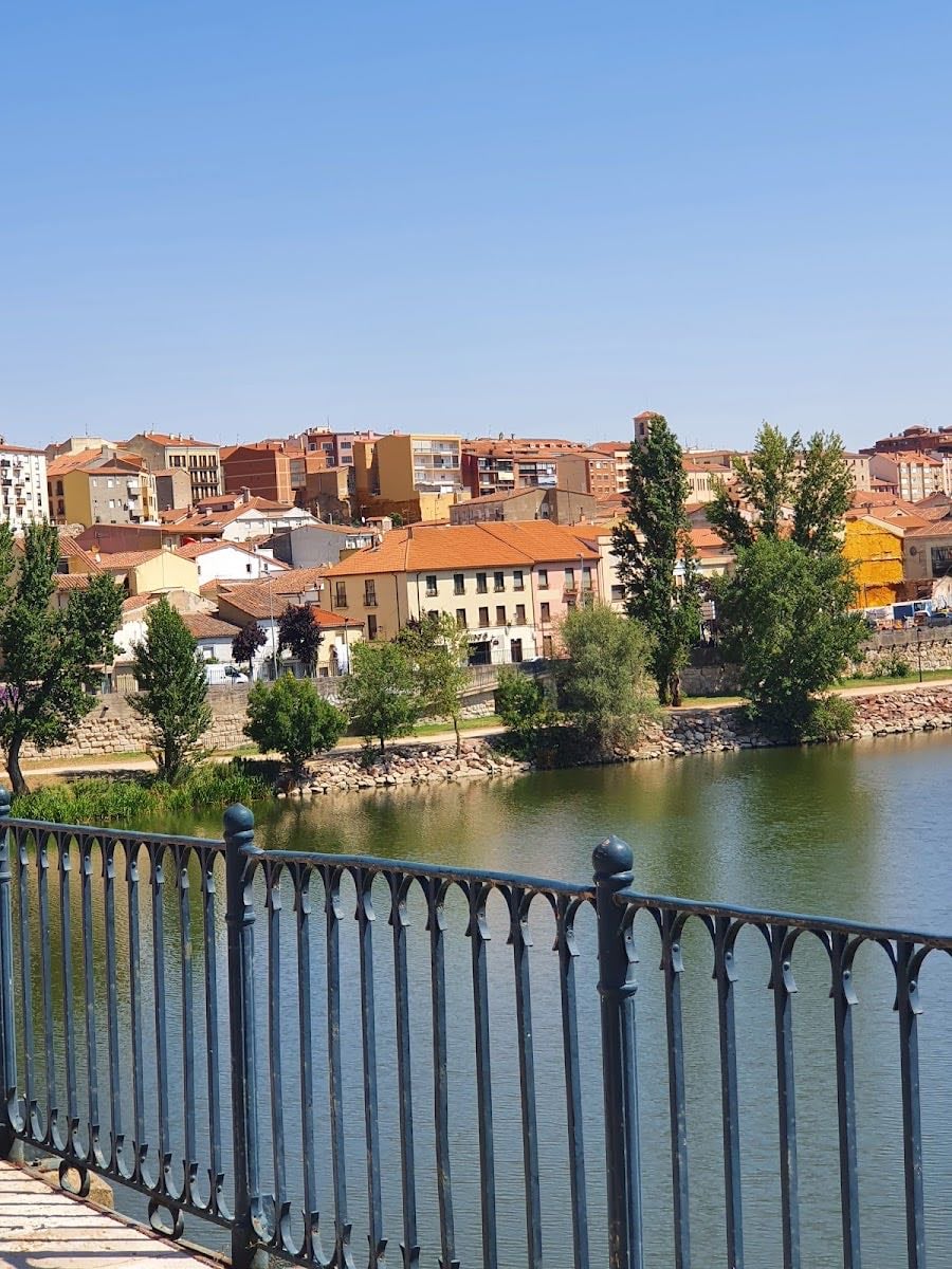 Zamora
