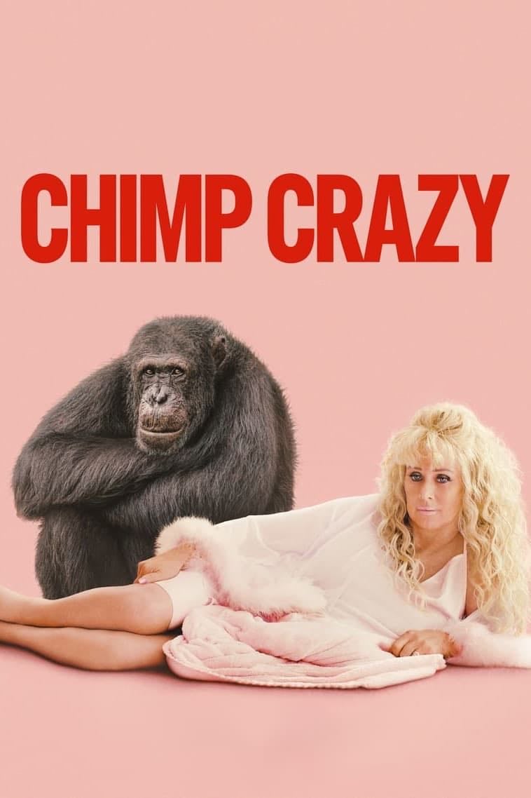 Chimp Crazy - 2024