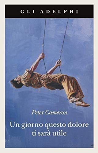 Un giorno questo dolore ti sarà utile - Peter Cameron · 2010