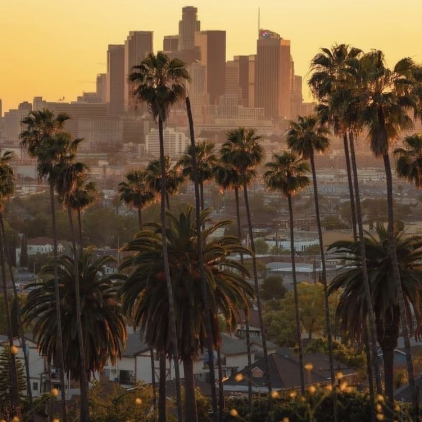 los angeles