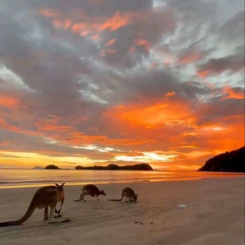 australia