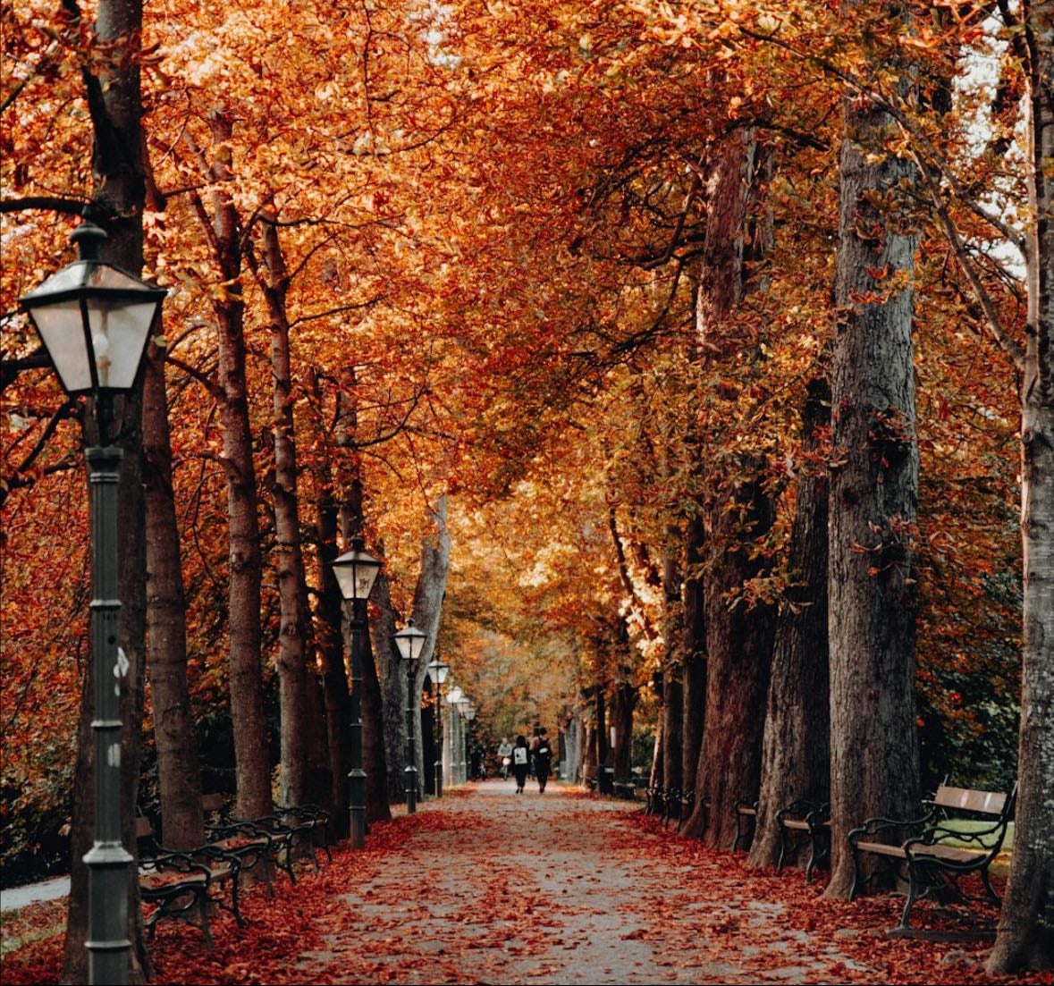 My Fall Guide ☕️🎃 - Music hypelist by Eve