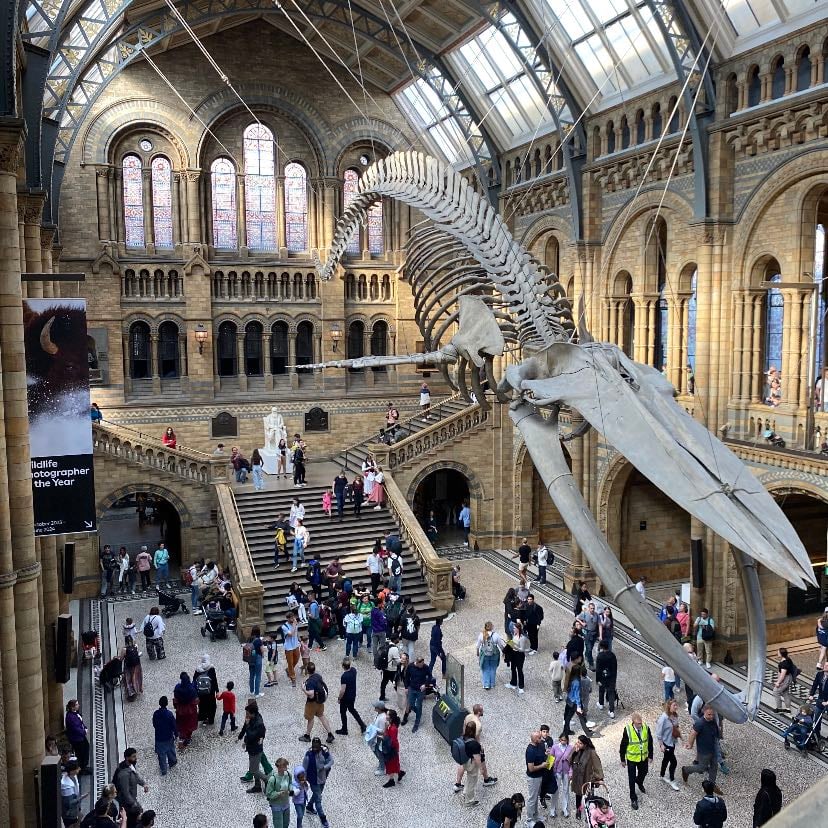 Natural History Museum - londres