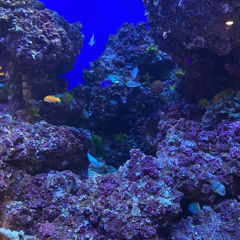 Aquàrium Barcelona - españa