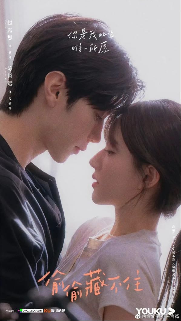 🇨🇳 Hidden Love - YOUKU · 25 ep · 2023 · Comedy/Romance