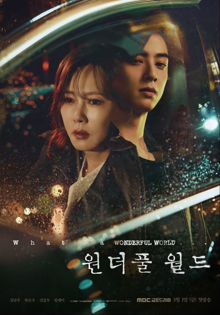 🇰🇷 Wonderful World - MBC · 14 ep · 2024 · Drama/Thriller