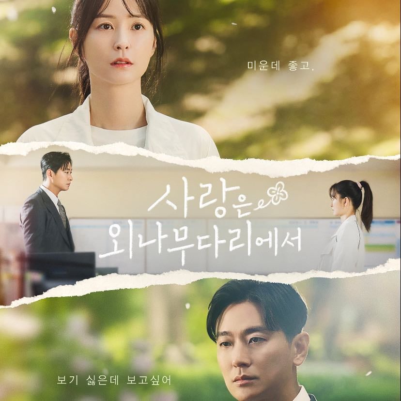 🇰🇷 Love Your Enemy - TVN · 12 ep · 2024 · Comedy/Romance