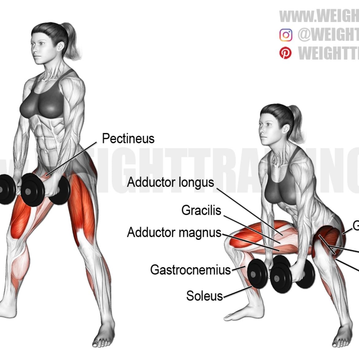 Sumo squat