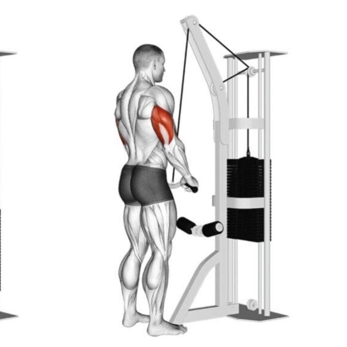 Extensión tricep en polea