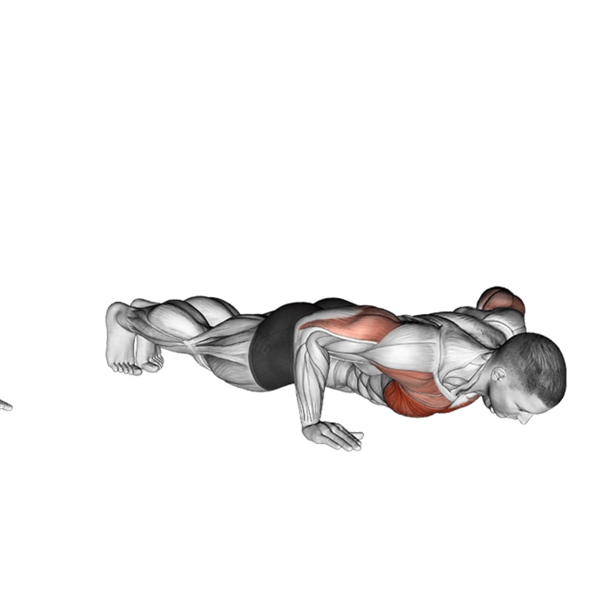 Push ups - 3 a 4 series las repeticiones que aguantes