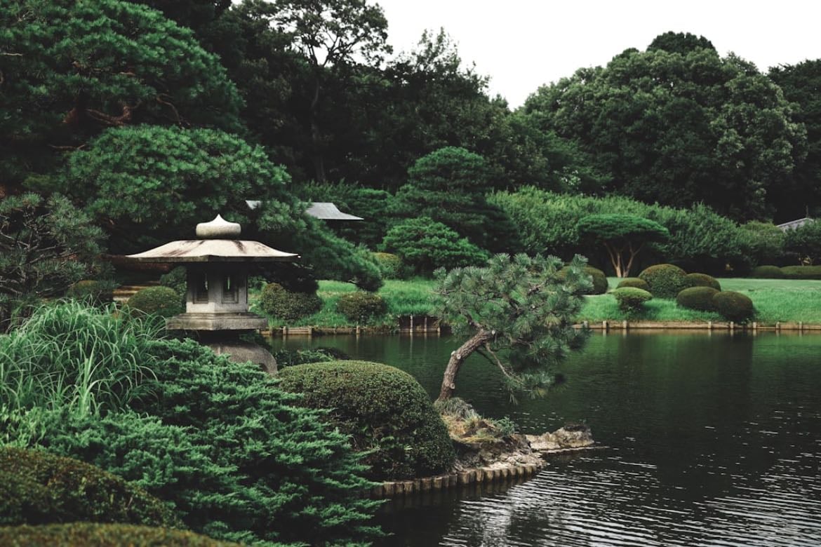 Botanical garden