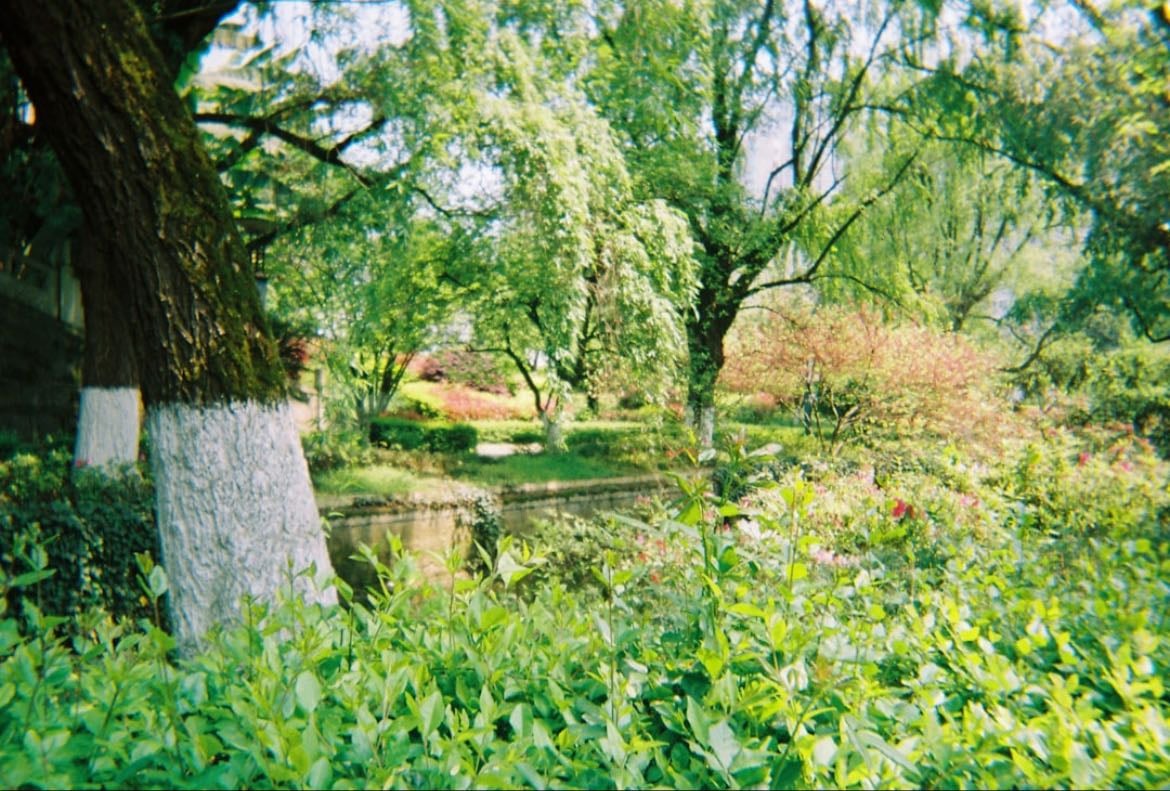 Bolda garden