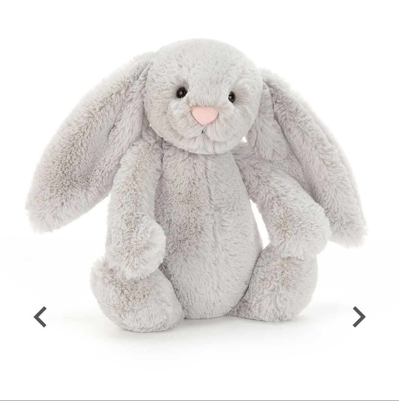 bunny