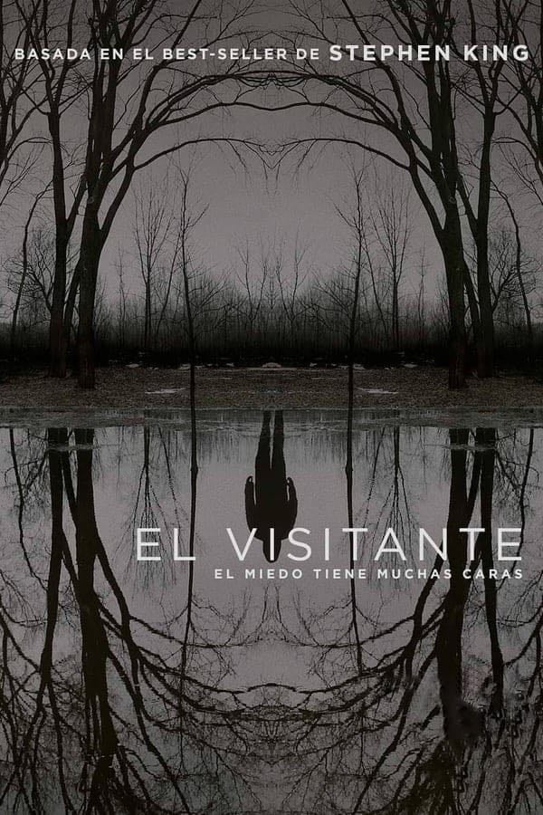 El visitante - Richard Price · 2020