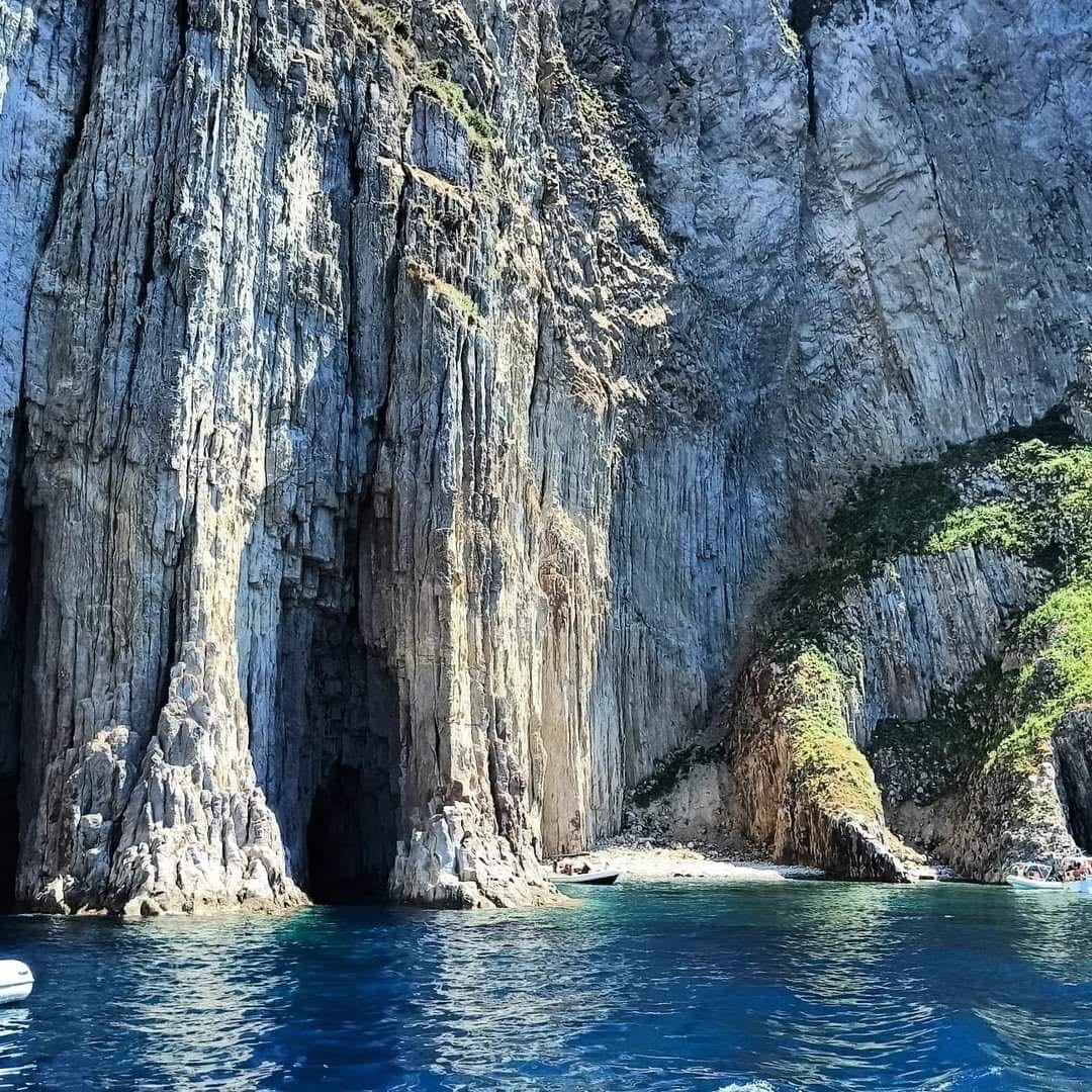 Palmarola