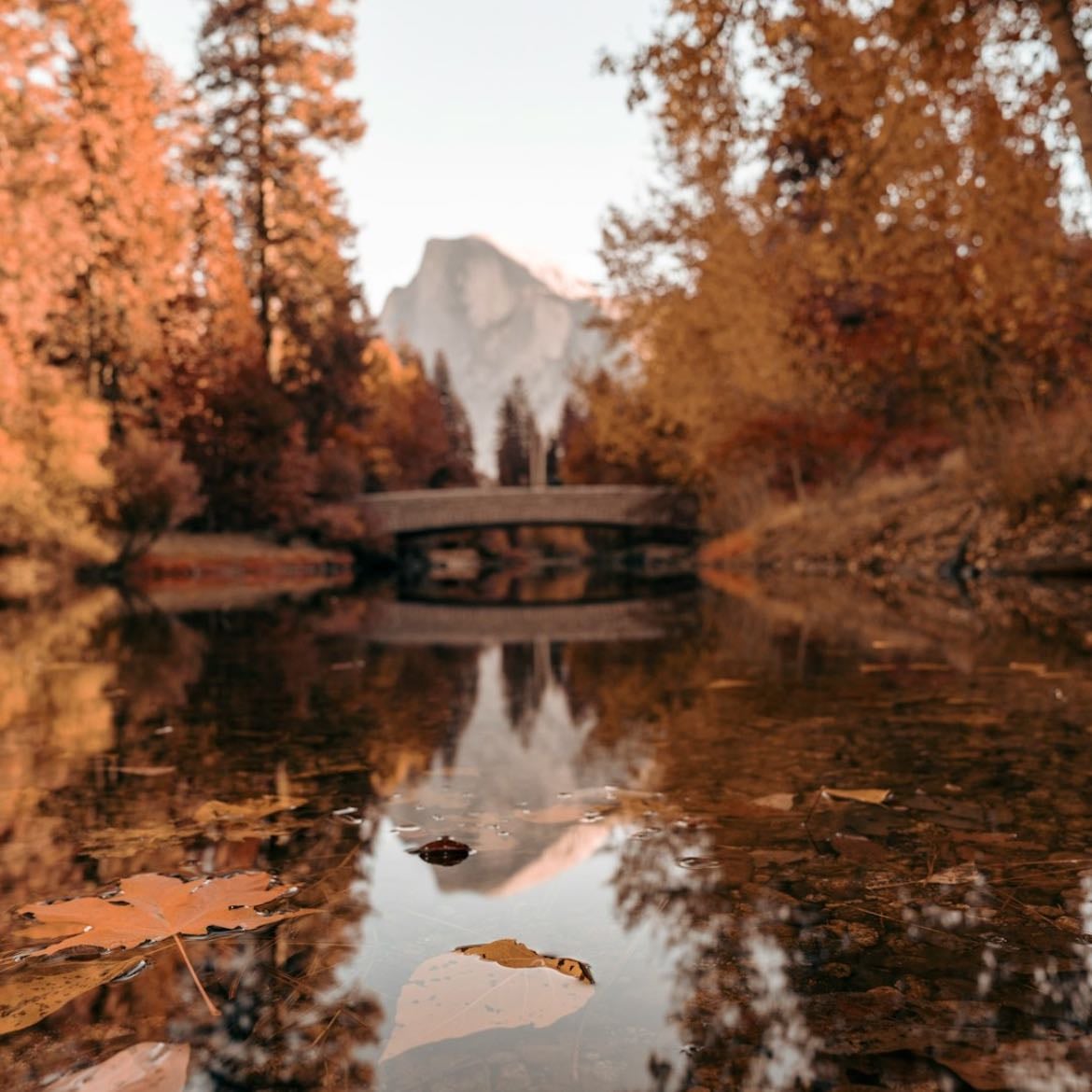 🍂 - Amando estos días 🍁