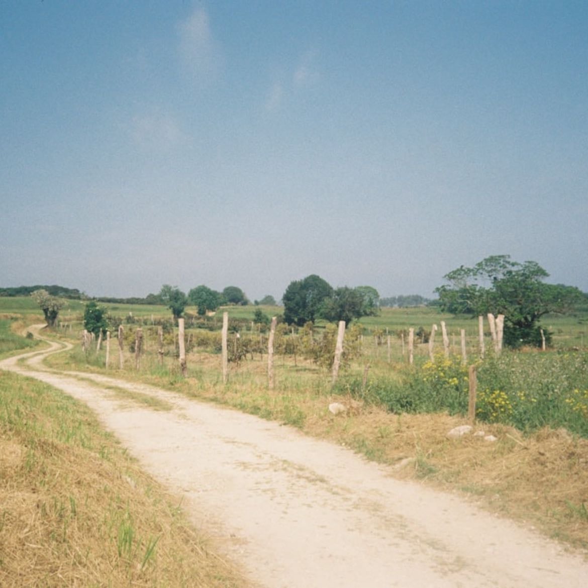 🛣️ - Camino difíciles conduce a maravillosos destinos 😌💕