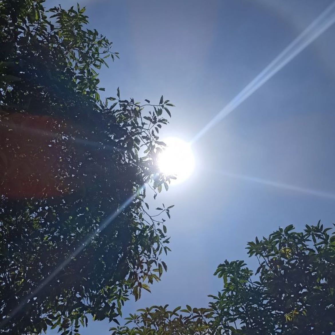 🌤️ - La mejor época del año ☀️.