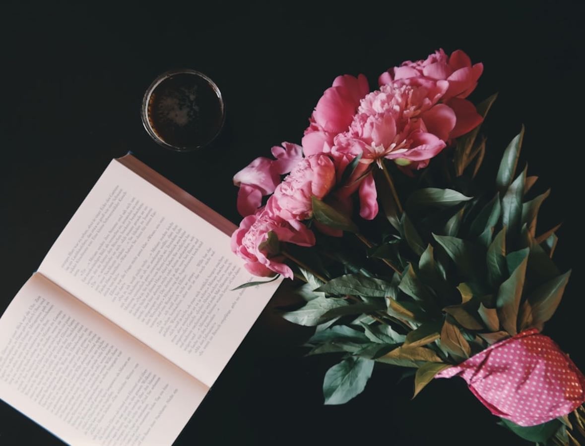 livros