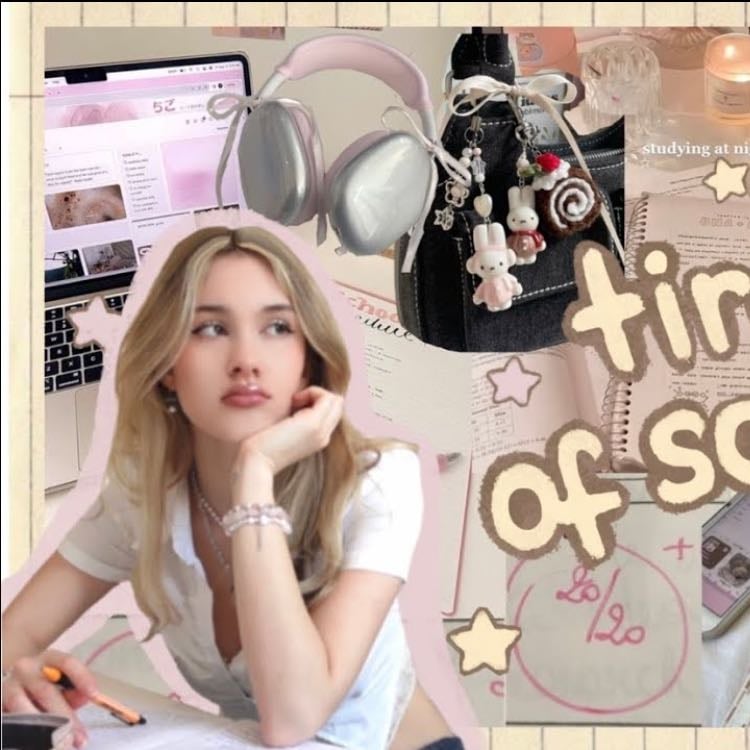 How to ROMANTICIZE school | Layla Tavas
