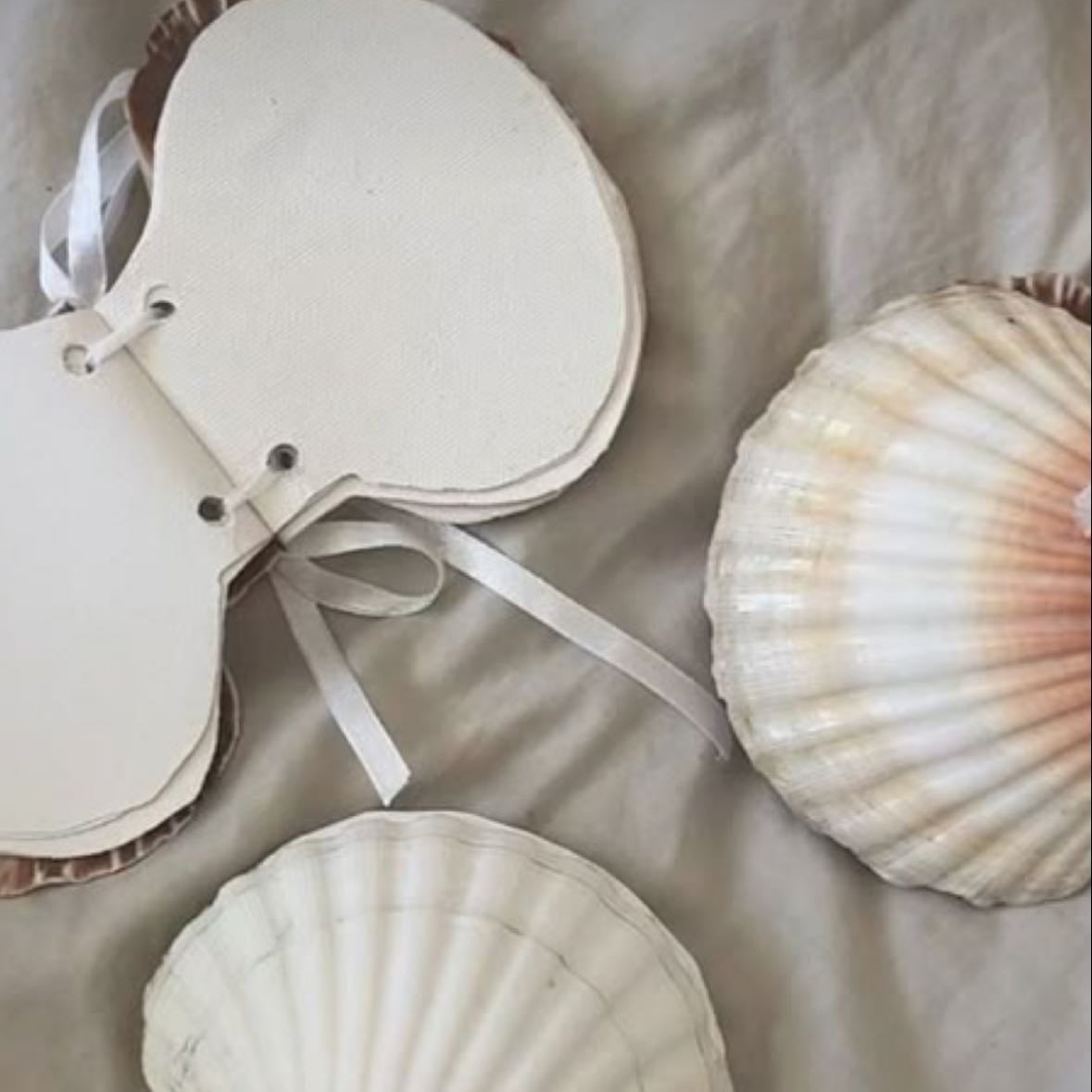 Seashell Sketchbook