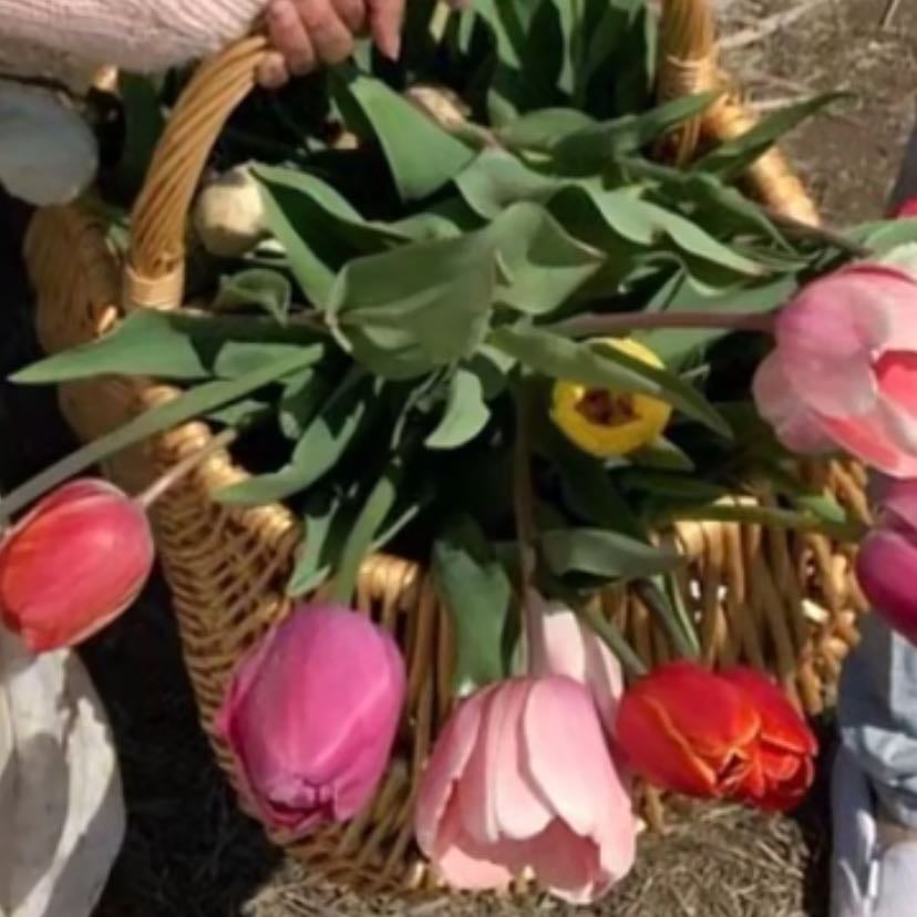 Flower picking