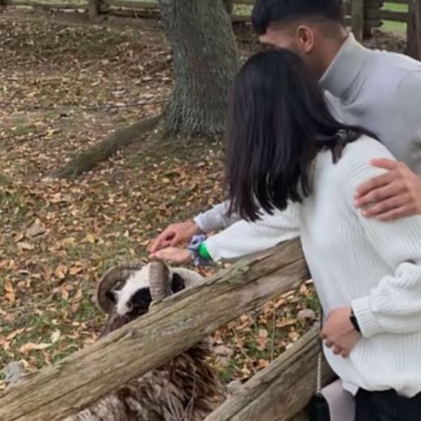 Zoo