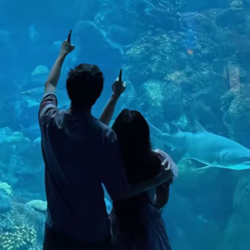 Aquarium