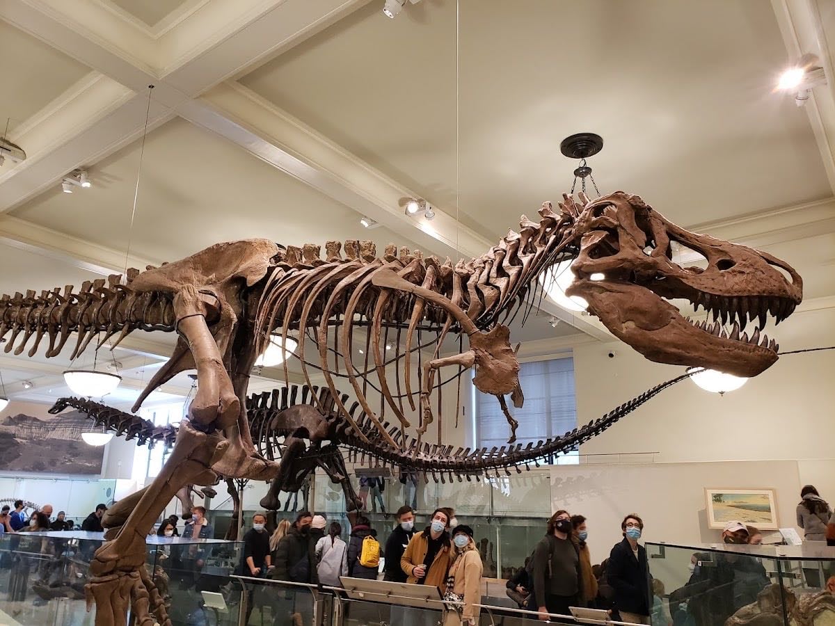 American Museum of Natural History