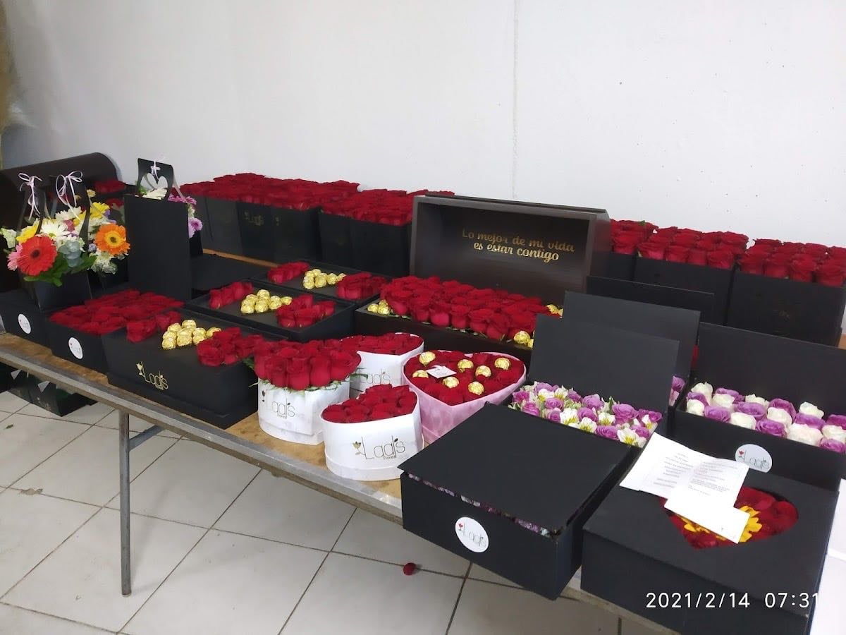 Laal's Flores López Portillo
