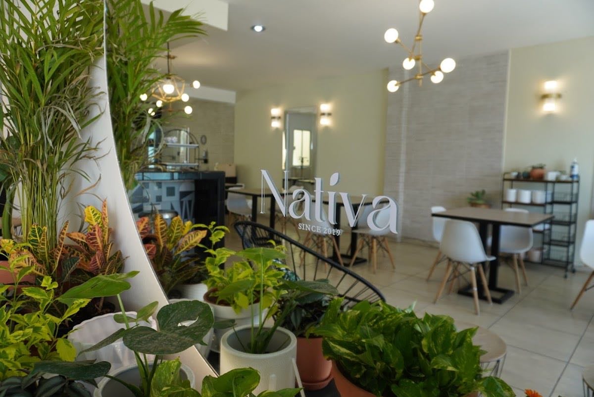Nativa