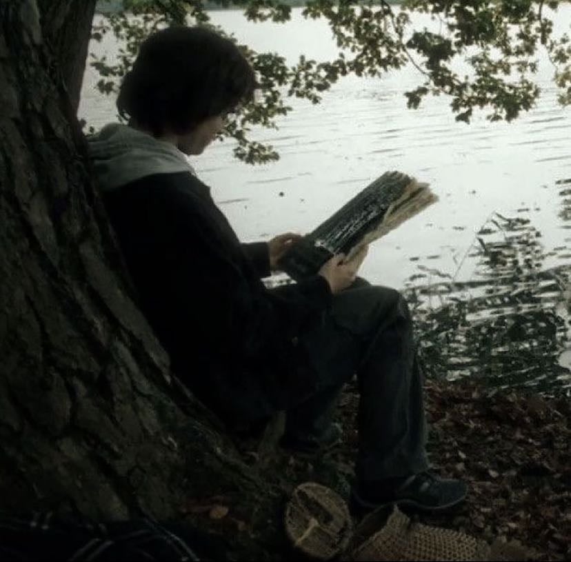 Harry Potter