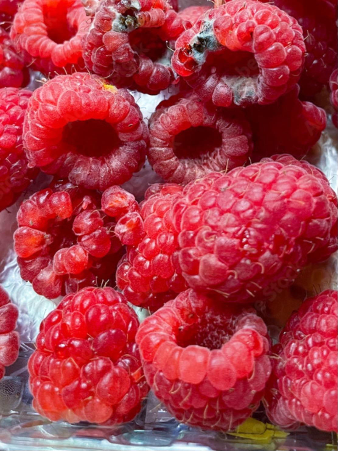 Himbeeren